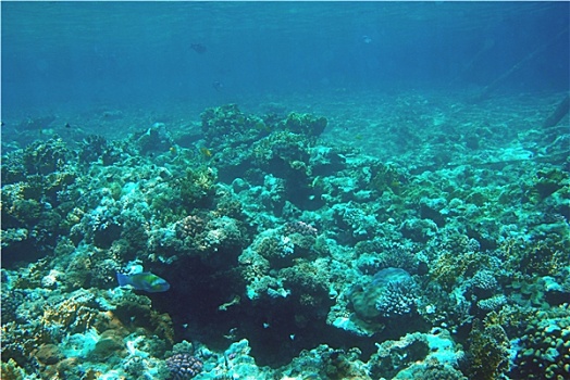 xổ số kien giang