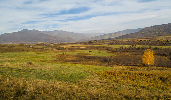 cach choi lô