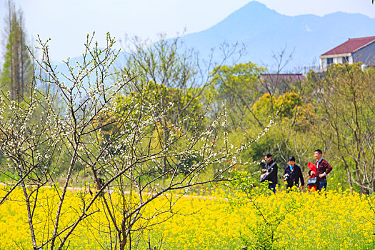 xổ số an giang tuần rồi