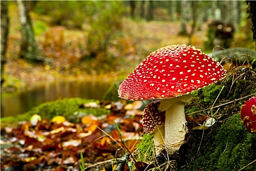 cách đánh đề đầu đuôi